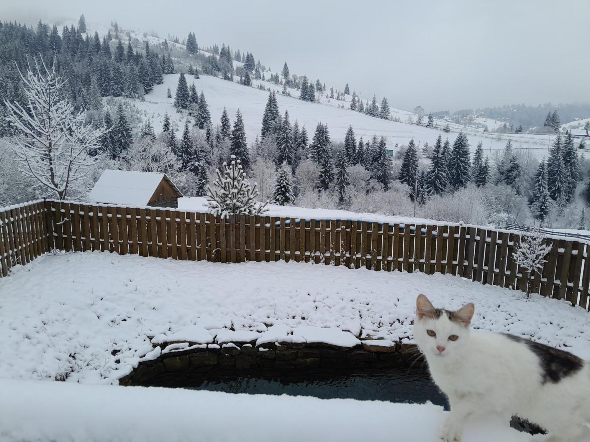 Villa Filiak Yablunytsya Exterior foto