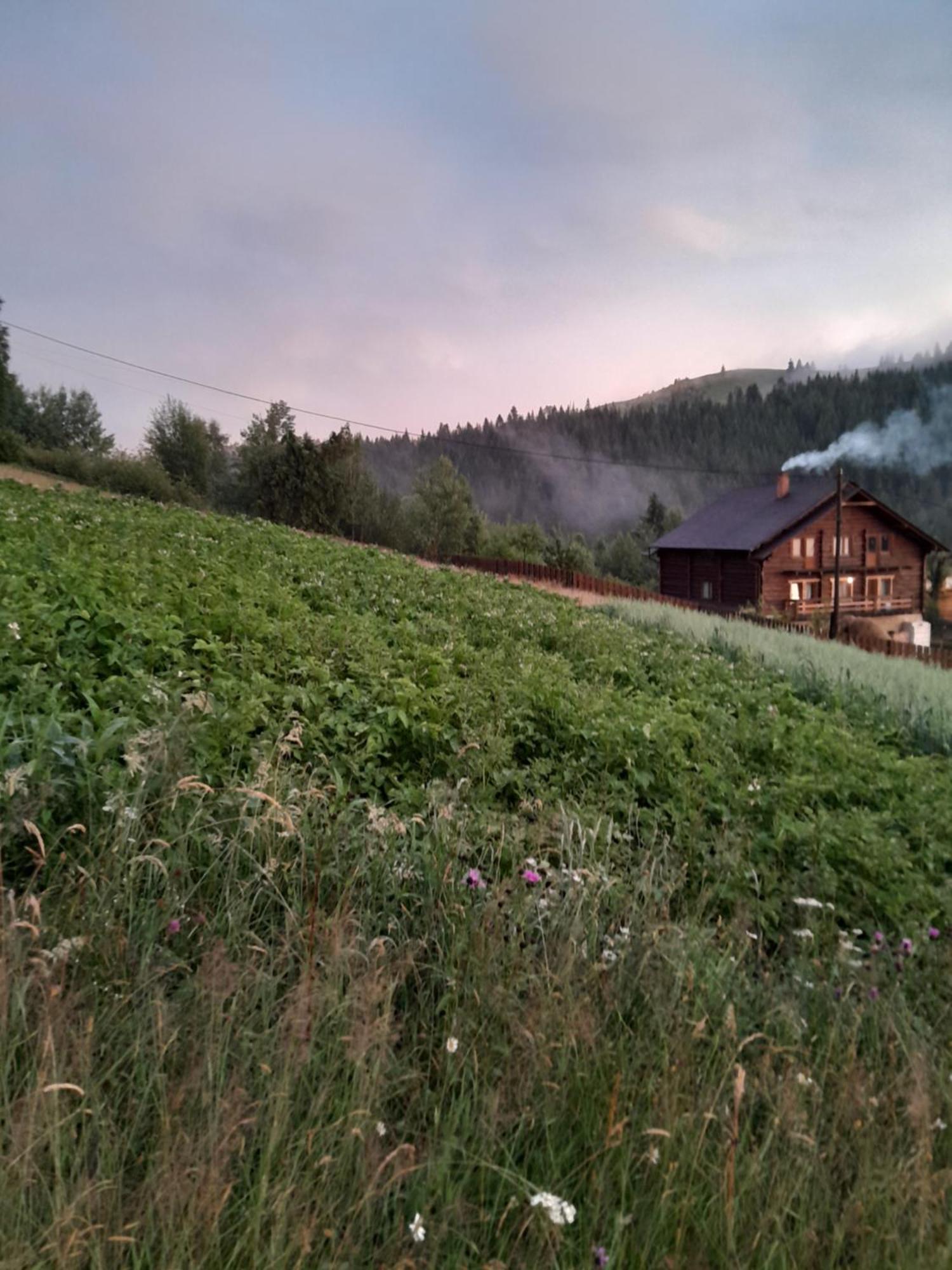 Villa Filiak Yablunytsya Exterior foto